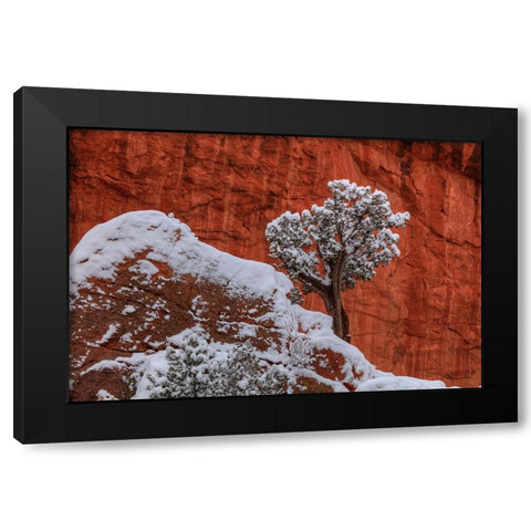 Perch Black Modern Wood Framed Art Print with Double Matting by Sherrell, Bill