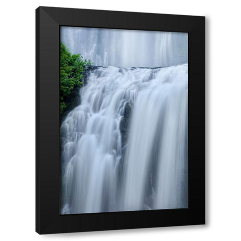 Shower Curtains Black Modern Wood Framed Art Print with Double Matting by Sherrell, Bill