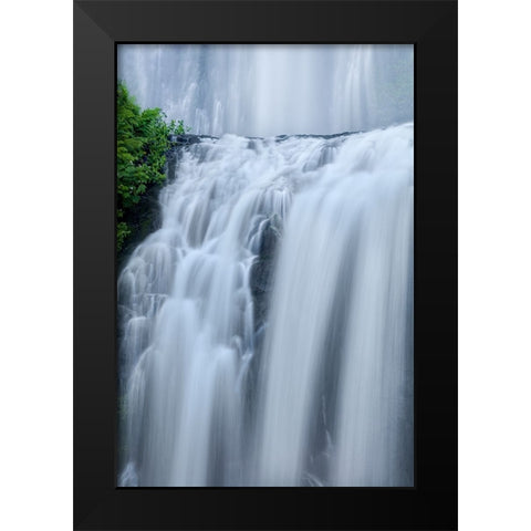 Shower Curtains Black Modern Wood Framed Art Print by Sherrell, Bill