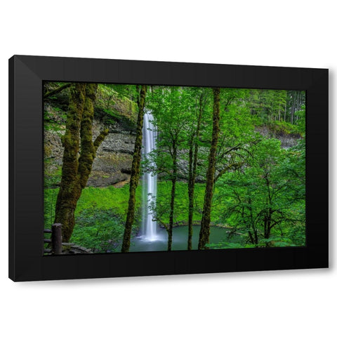 Silver Falls-Oregon 2 Black Modern Wood Framed Art Print with Double Matting by Sherrell, Bill