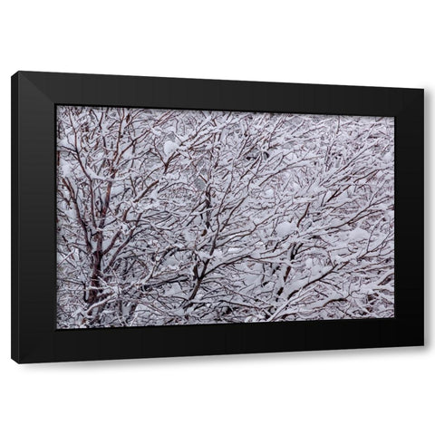 Synergy Black Modern Wood Framed Art Print with Double Matting by Sherrell, Bill