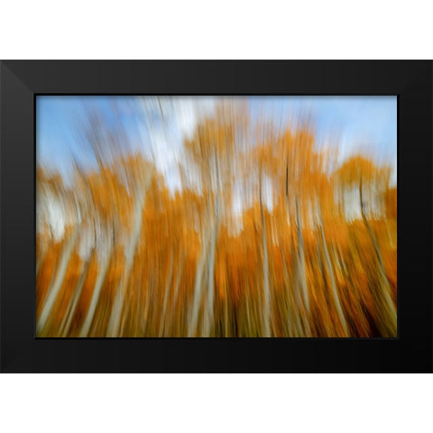 The Spirit Of Autumn Black Modern Wood Framed Art Print by Sherrell, Bill
