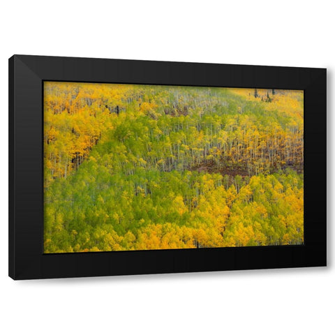 Transition Black Modern Wood Framed Art Print with Double Matting by Sherrell, Bill