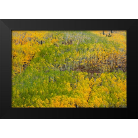 Transition Black Modern Wood Framed Art Print by Sherrell, Bill