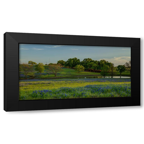 Twilight Serenity Black Modern Wood Framed Art Print by Sherrell, Bill