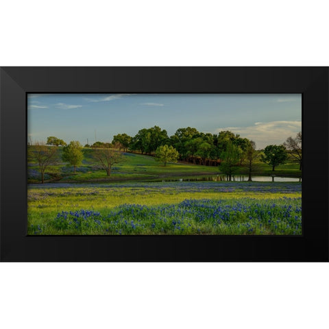Twilight Serenity Black Modern Wood Framed Art Print by Sherrell, Bill
