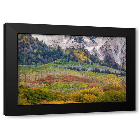 Up Against A Wall Black Modern Wood Framed Art Print with Double Matting by Sherrell, Bill