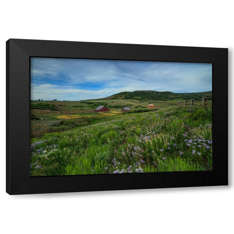 Wildflowers At The True Grit Ranch 1 Black Modern Wood Framed Art Print with Double Matting by Sherrell, Bill