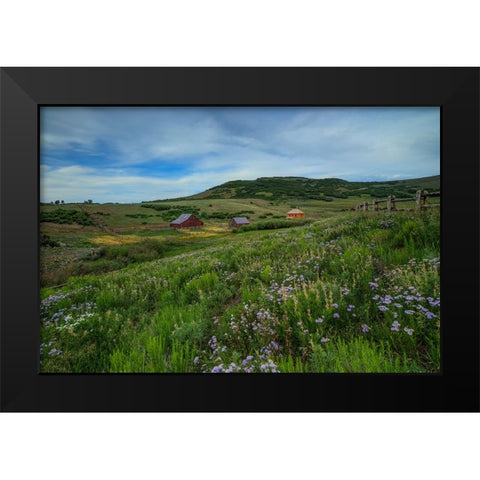 Wildflowers At The True Grit Ranch 1 Black Modern Wood Framed Art Print by Sherrell, Bill