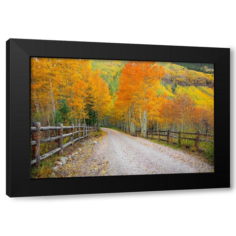 Wondrous Journey Black Modern Wood Framed Art Print with Double Matting by Sherrell, Bill