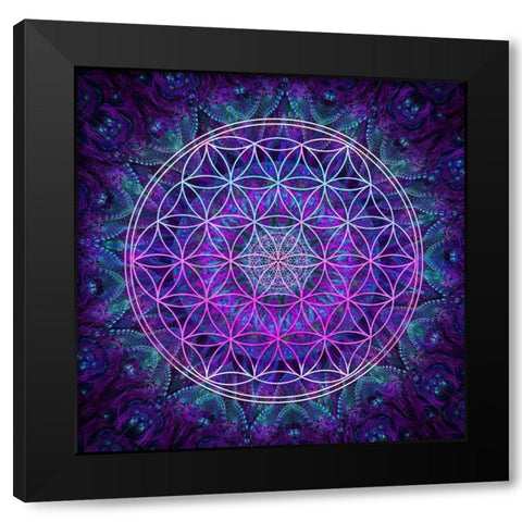 Flower Of Life Black Modern Wood Framed Art Print with Double Matting by Gray, Cameron