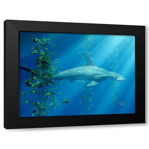 Hammer Head Among The Seaweed Black Modern Wood Framed Art Print with Double Matting by Eskridge, Daniel