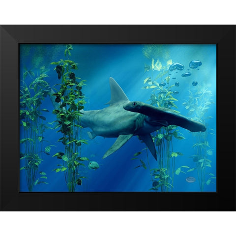 Hammerhead Black Modern Wood Framed Art Print by Eskridge, Daniel
