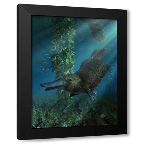 Platypus Black Modern Wood Framed Art Print with Double Matting by Eskridge, Daniel