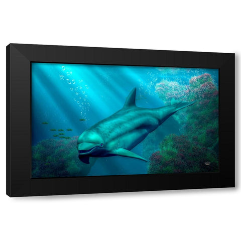 Smiling Dolphin Black Modern Wood Framed Art Print with Double Matting by Eskridge, Daniel