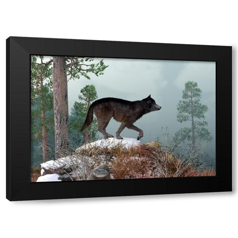 Winter Wolf Black Modern Wood Framed Art Print with Double Matting by Eskridge, Daniel