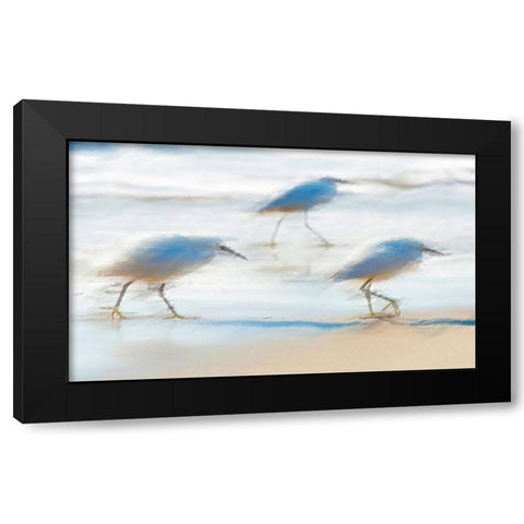 Pipers on a beach A Black Modern Wood Framed Art Print with Double Matting by Manlove, David