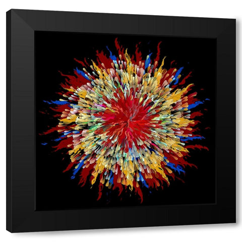 Feather Duster Black Modern Wood Framed Art Print by Manlove, David