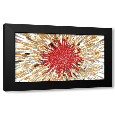 Cardinal Splash 3e Black Modern Wood Framed Art Print by Manlove, David