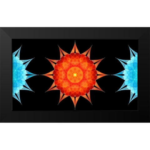 Starfish-side Black Modern Wood Framed Art Print by Manlove, David