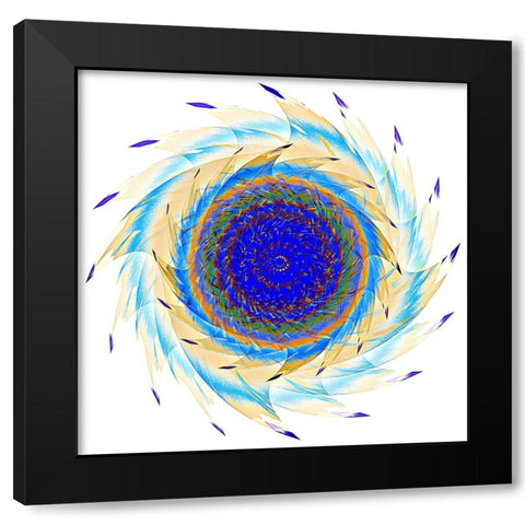 Sun Feathers Black Modern Wood Framed Art Print by Manlove, David