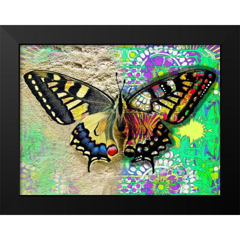 Exposed Butterfly Black Modern Wood Framed Art Print by Dean Russo Collection