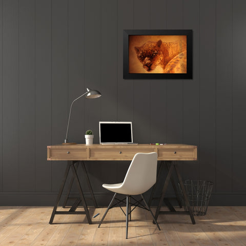 The Leopard Black Modern Wood Framed Art Print by Lund, Denton