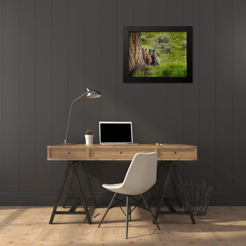 Sow and Cubs Family Black Modern Wood Framed Art Print by Galloimages Online