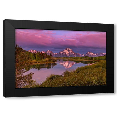 Magenta Sunrise  Oxbow Bend Black Modern Wood Framed Art Print by Galloimages Online