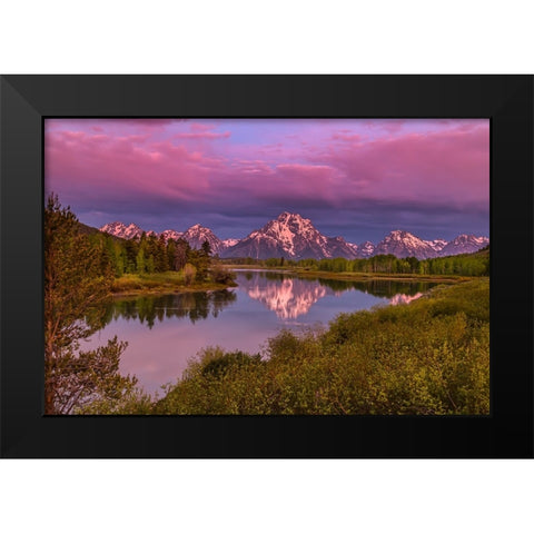 Magenta Sunrise  Oxbow Bend Black Modern Wood Framed Art Print by Galloimages Online