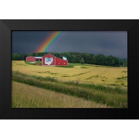 Ohio Farm Rainbow Black Modern Wood Framed Art Print by Galloimages Online