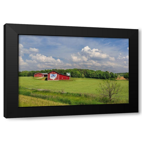 Ohio Farm Black Modern Wood Framed Art Print with Double Matting by Galloimages Online
