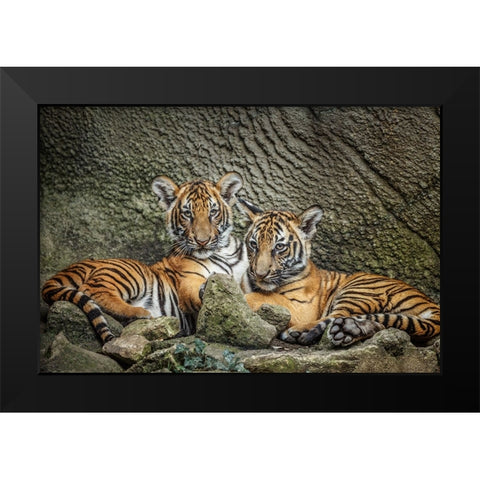 Brothers Twosome Black Modern Wood Framed Art Print by Galloimages Online