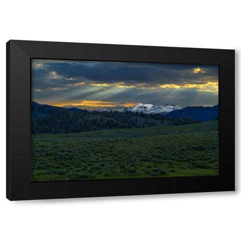 Lamar Valley Sunrise Black Modern Wood Framed Art Print with Double Matting by Galloimages Online