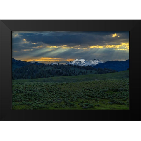 Lamar Valley Sunrise Black Modern Wood Framed Art Print by Galloimages Online