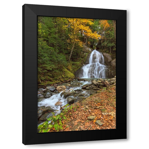 Moss Glen Falls in VT Black Modern Wood Framed Art Print by Galloimages Online