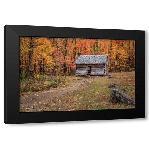 Alex Cole Cabin Black Modern Wood Framed Art Print by Galloimages Online