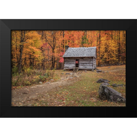 Alex Cole Cabin Black Modern Wood Framed Art Print by Galloimages Online