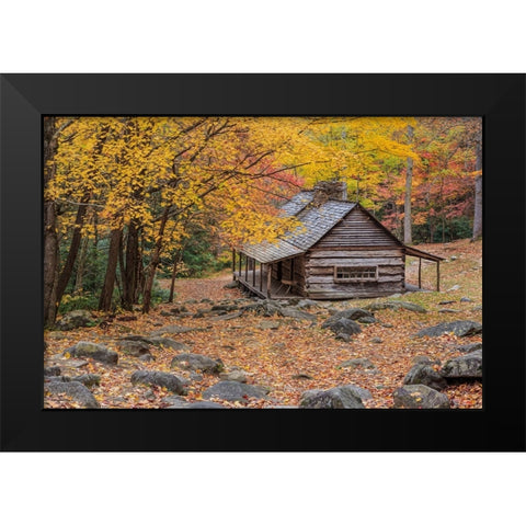 Bud Ogle Cabin Black Modern Wood Framed Art Print by Galloimages Online
