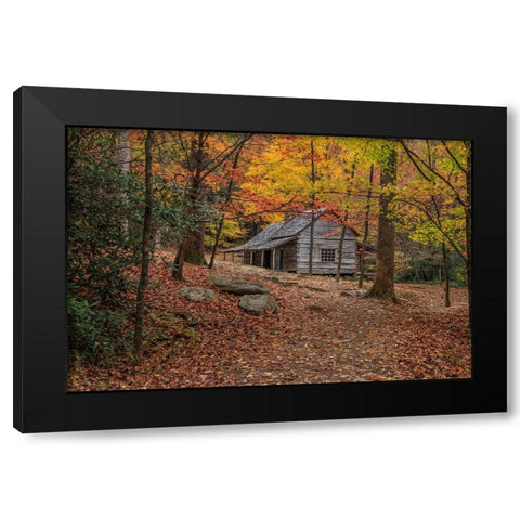 Bud Ogle Place -Composition 2 Black Modern Wood Framed Art Print with Double Matting by Galloimages Online