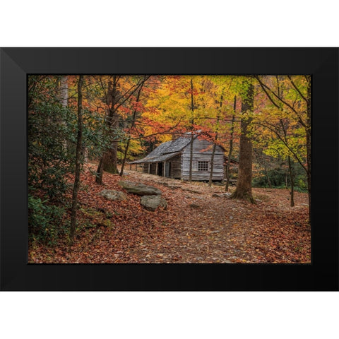 Bud Ogle Place -Composition 2 Black Modern Wood Framed Art Print by Galloimages Online