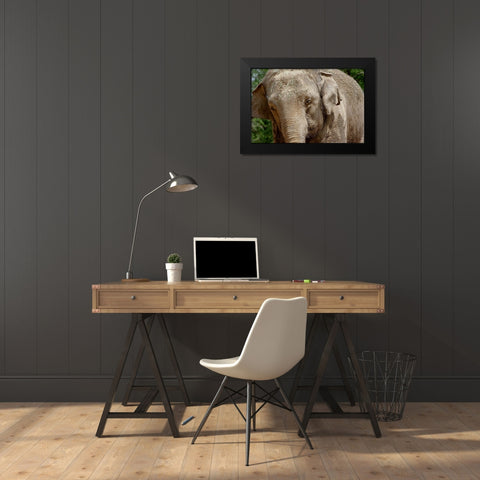 Elephant Black Modern Wood Framed Art Print by Galloimages Online