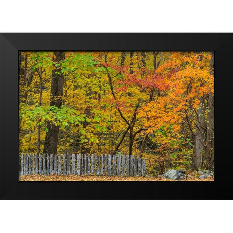 Fall Fence Scene Black Modern Wood Framed Art Print by Galloimages Online