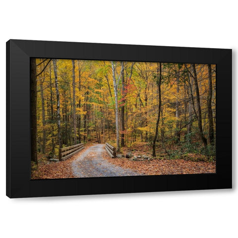 Greenbrier Bridge Path Black Modern Wood Framed Art Print with Double Matting by Galloimages Online