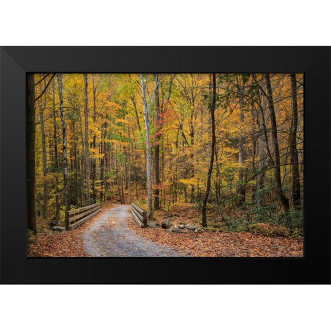 Greenbrier Bridge Path Black Modern Wood Framed Art Print by Galloimages Online