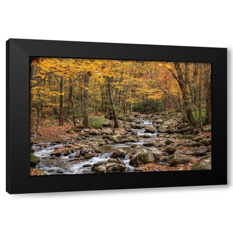 Greenbrier Cascade Black Modern Wood Framed Art Print with Double Matting by Galloimages Online