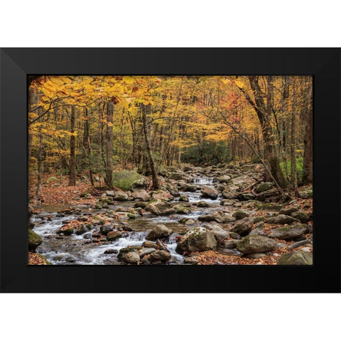 Greenbrier Cascade Black Modern Wood Framed Art Print by Galloimages Online