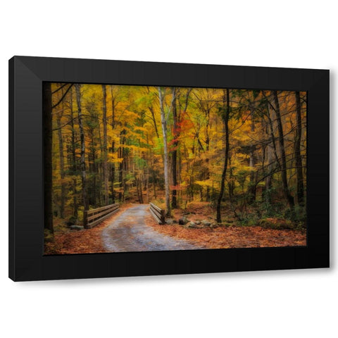 Greenbrier Path Black Modern Wood Framed Art Print by Galloimages Online