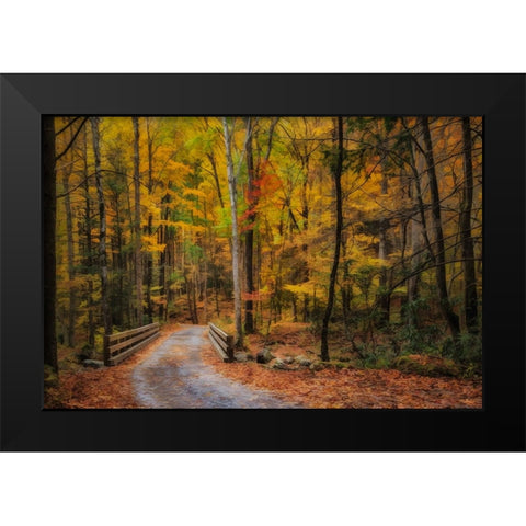 Greenbrier Path Black Modern Wood Framed Art Print by Galloimages Online