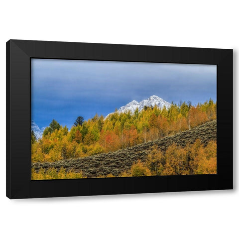 Mountain Fall Color Black Modern Wood Framed Art Print with Double Matting by Galloimages Online